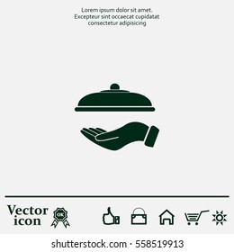 tray in hand icon. One of set web icons