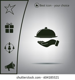 tray in hand icon. One of set web icons