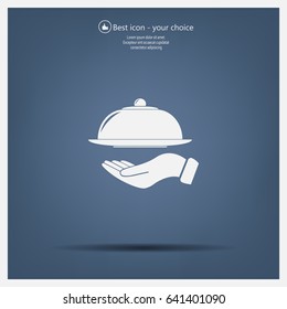 tray in hand icon. One of set web icons
