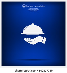 tray in hand icon. One of set web icons