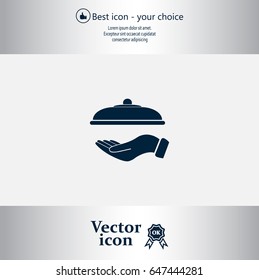 tray in hand icon. One of set web icons