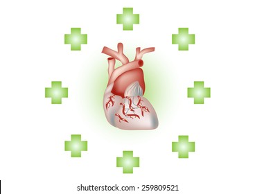 Treat Heart.