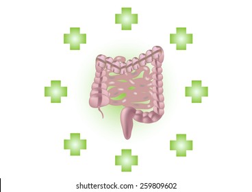 Treat intestine.