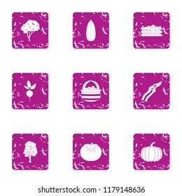 Treat shrub icons set. Grunge set of 9 treat shrub vector icons for web isolated on white background