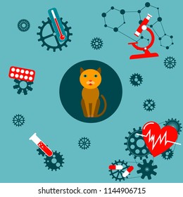 Treatment of animals. First aid to dogs. The mechanism of care for the health of Pets.