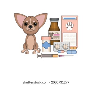 Treatment and care of dogs. Purchase plan for dogs and veterinary drugs. Multi-colored image. There is free space for text. Vector illustration.