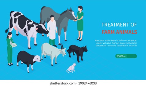 Treatment of farm animals horizontal web banner with veterinarians who care for pets isometric vector illustration