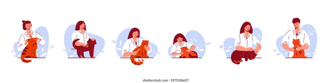 Treatment, pet care concept. Veterinarian in uniform with a cat. Set of vector illustrations in flat cartoon style.