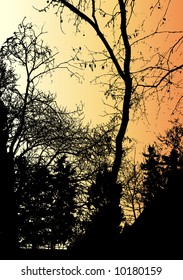 tree