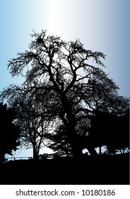 tree