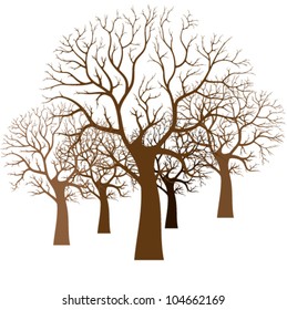 tree