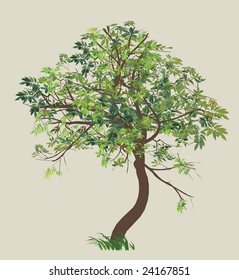 tree