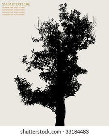 tree