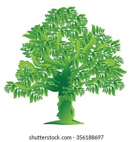 tree