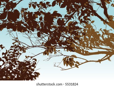 tree