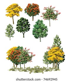 tree