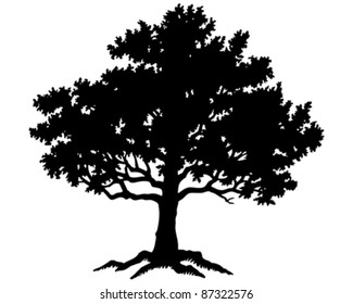 Oak Tree Background Images, Stock Photos & Vectors | Shutterstock