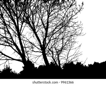 tree