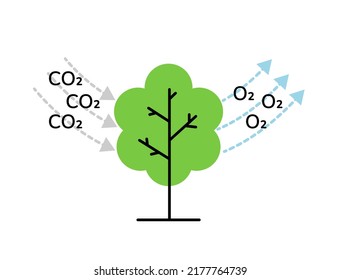 Tree absorbs CO2 and releases O2 linear style scheme vector illustration. Carbon cycle. CO2 neutrality concept. Ecology, environment, photosynthesis process. Flat vector illustration.