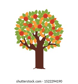 tree with acorns autumn fruits seasonal vector illustration design