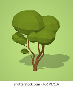 Tree against the green background. 3D lowpoly isometric vector illustration