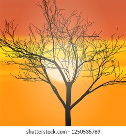 Tree against the setting sun, vector illustration, EPS10