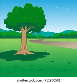 Tree along the way