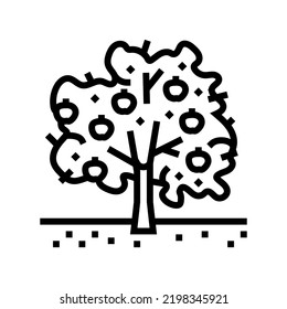 tree apple fruit line icon vector. tree apple fruit sign. isolated contour symbol black illustration