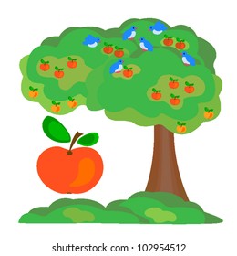 a tree with apples and birds,vector, illustration
