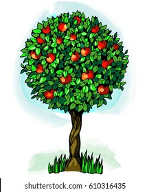 Tree apples, isolated, vector illustration colored on white background