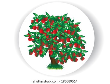 Tree with apples on a white background.