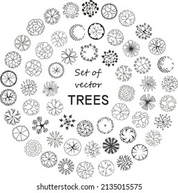 Tree for architectural floor plans. Entourage design. Various trees, bushes, and shrubs, top view for the landscape design plan. Vector illustration.