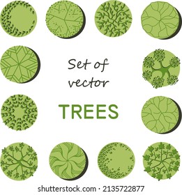 Tree for architectural floor plans. Entourage design. Various trees, bushes, and shrubs, top view for the landscape design plan. Vector illustration.