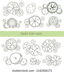 Tree for architectural floor plans. Entourage design. Various trees, bushes, and shrubs, top view for the landscape design plan. Vector illustration.
