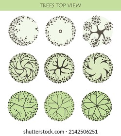 Tree for architectural floor plans. Entourage design. Various trees, bushes, and shrubs, top view for the landscape design plan. Vector illustration.