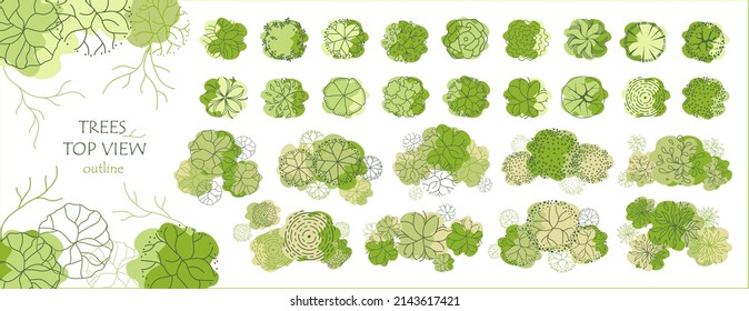 Tree for architectural floor plans. Entourage design. Various trees, bushes, and shrubs, top view for the landscape design plan. Vector illustration.