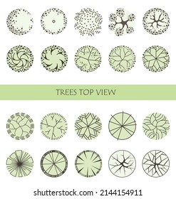 Árbol para planos de pisos arquitectónicos. Diseño de Entourage. Varios árboles, arbustos y arbustos, dan a la planta de diseño del paisaje. Ilustración vectorial.