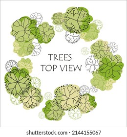 Tree for architectural floor plans. Entourage design. Various trees, bushes, and shrubs, top view for the landscape design plan. Vector illustration.