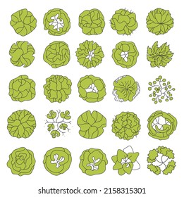 Tree for architectural floor plans. Entourage design. Various trees, bushes, and shrubs, top view for the landscape design plan. Vector illustration.