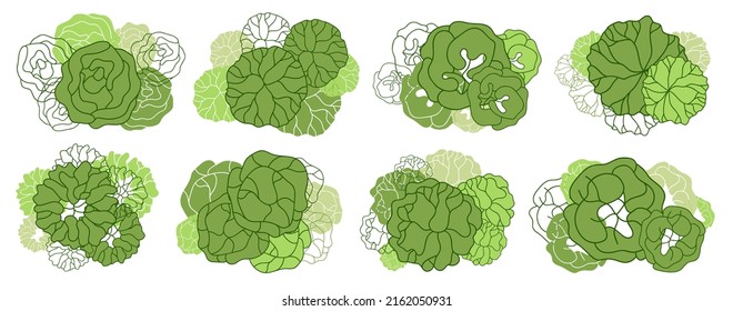 Tree for architectural floor plans. Entourage design. Various trees, bushes, and shrubs, top view for the landscape design plan. Vector illustration.