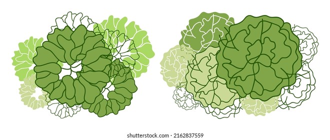 Tree for architectural floor plans. Entourage design. Various trees, bushes, and shrubs, top view for the landscape design plan. Vector illustration.