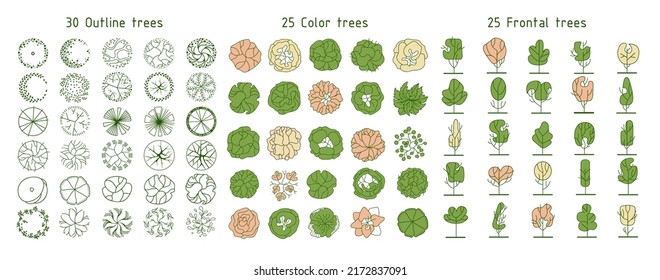 Árbol para planos de pisos arquitectónicos. Diseño de Entourage. Varios árboles, arbustos y arbustos, dan a la planta de diseño del paisaje. Ilustración vectorial.