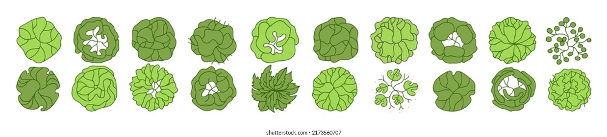 Tree for architectural floor plans. Entourage design. Various trees, bushes, and shrubs, top view for the landscape design plan. Vector illustration.