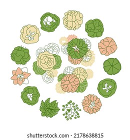 Tree for architectural floor plans. Entourage design. Various trees, bushes, and shrubs, top view for the landscape design plan. Vector illustration.