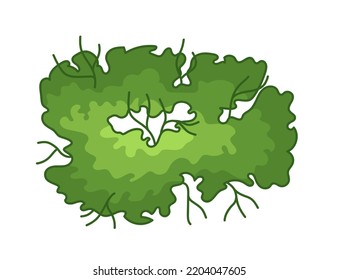 Tree for architectural floor plans. Entourage design. Various trees, bushes, and shrubs, top view for the landscape design plan. Vector illustration.