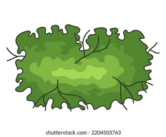 Tree for architectural floor plans. Entourage design. Various trees, bushes, and shrubs, top view for the landscape design plan. Vector illustration.