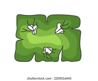 Tree for architectural floor plans. Entourage design. Various trees, bushes, and shrubs, top view for the landscape design plan. Vector illustration.