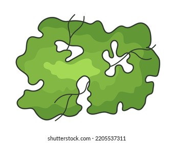 Tree for architectural floor plans. Entourage design. Various trees, bushes, and shrubs, top view for the landscape design plan. Vector illustration.
