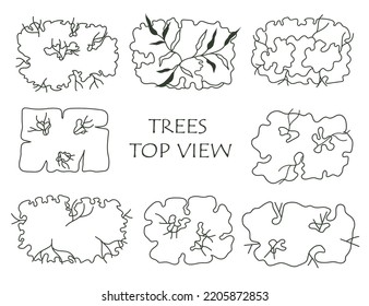 Tree for architectural floor plans. Entourage design. Various trees, bushes, and shrubs, top view for the landscape design plan. Vector illustration.