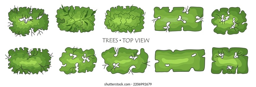 Tree for architectural floor plans. Entourage design. Various trees, bushes, and shrubs, top view for the landscape design plan. Vector illustration.